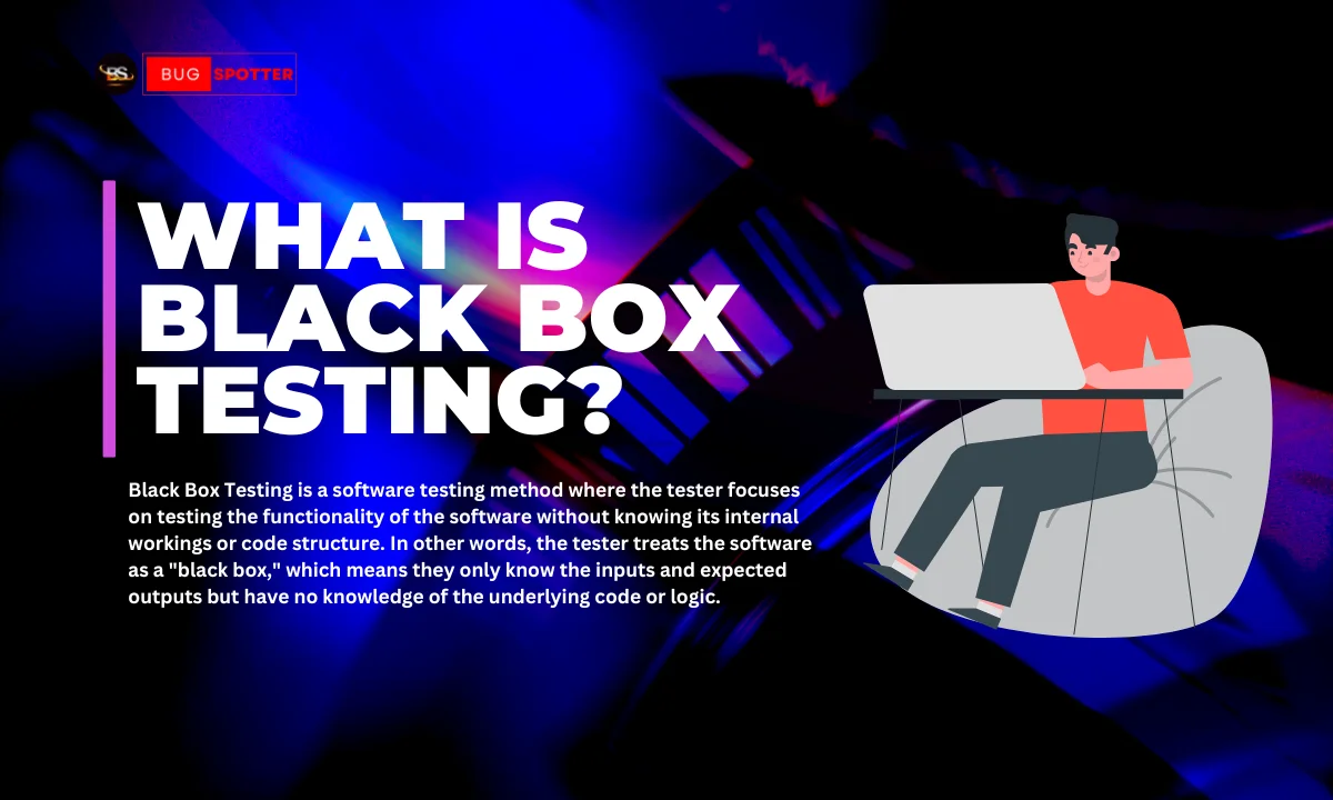 What Is Black Box Testing ?