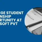 College Student Internship Opportunity