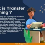 Transfer Learning