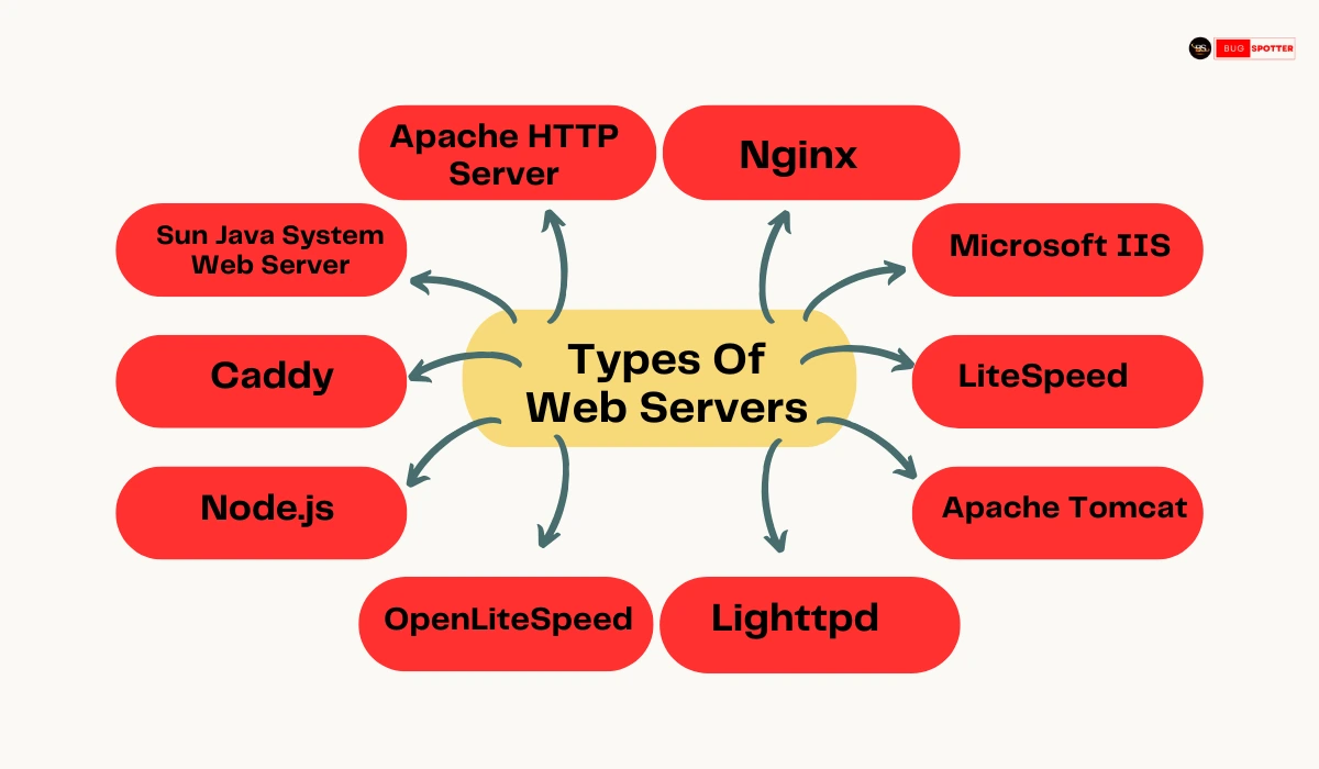 Types of Web Servers, What is a Web Server?​, Web Servers, Apache HTTP Server, Apache HTTP Server, Nginx, Microsoft IIS , LiteSpeed , Apache Tomcat, Lighttpd